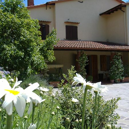 Hostal Da Ronald ... A Pian Del Papa Pratovecchio Exterior foto