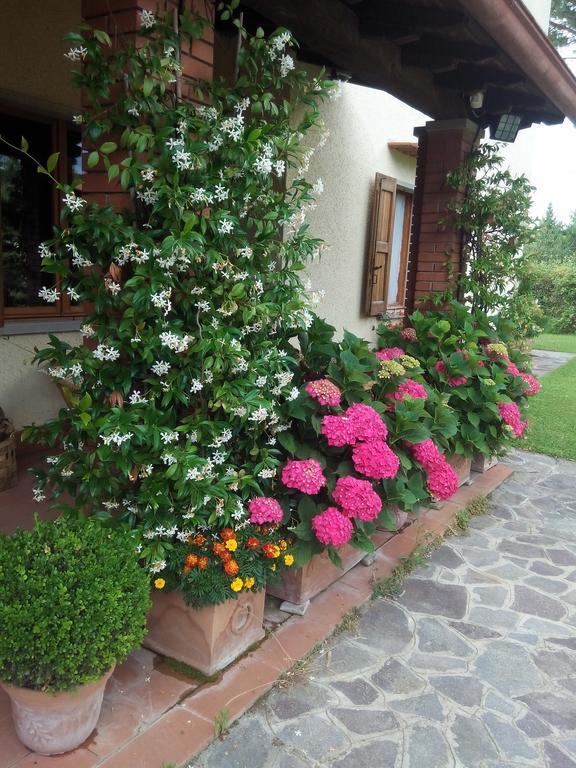 Hostal Da Ronald ... A Pian Del Papa Pratovecchio Exterior foto